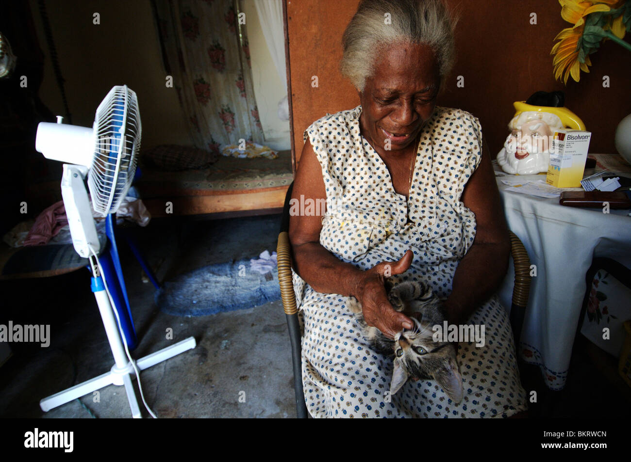 Curacao, Willemstad, Cas Chikitu, eine alte Frau von Surinam allein in einer kleinen Hütte lebt wo sie Komfort nur in Jesus findet. Stockfoto