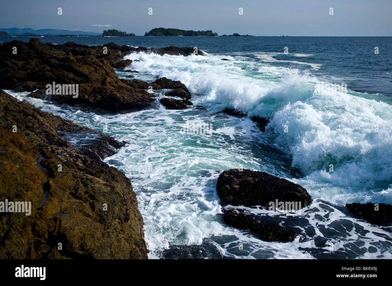 Ucluelet BC Kanada Pacific Rim Nationalpark Stockfoto