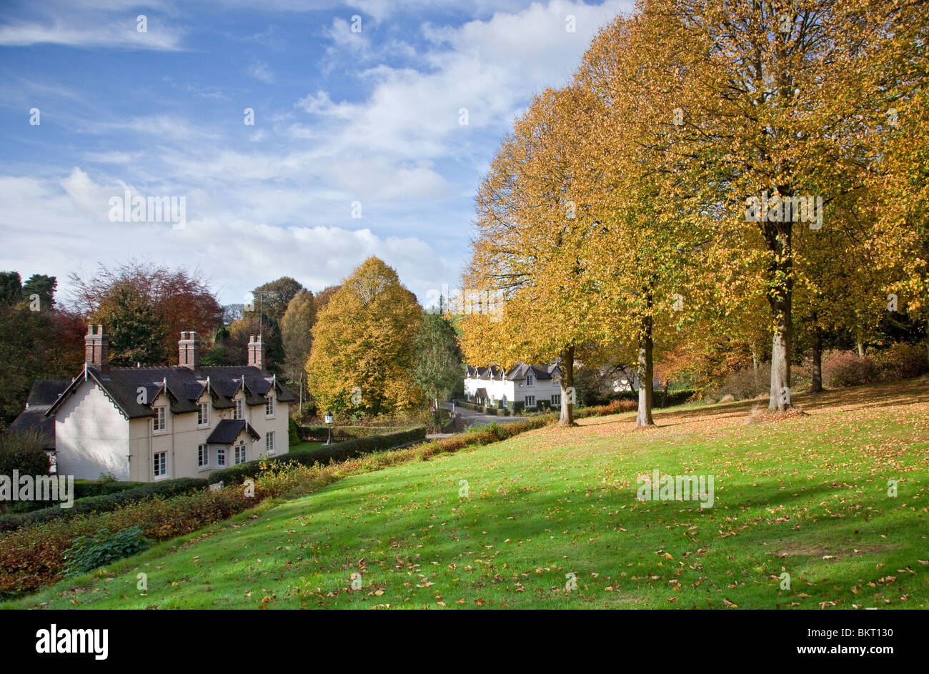 Whitmore Dorf, Staffordshire England UK im Herbst Farbe. Stockfoto