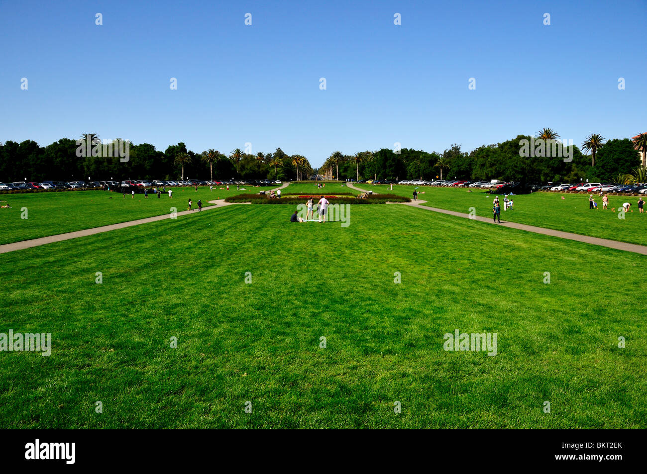 Grünen Rasen. Stanford University, Kalifornien, USA. Stockfoto