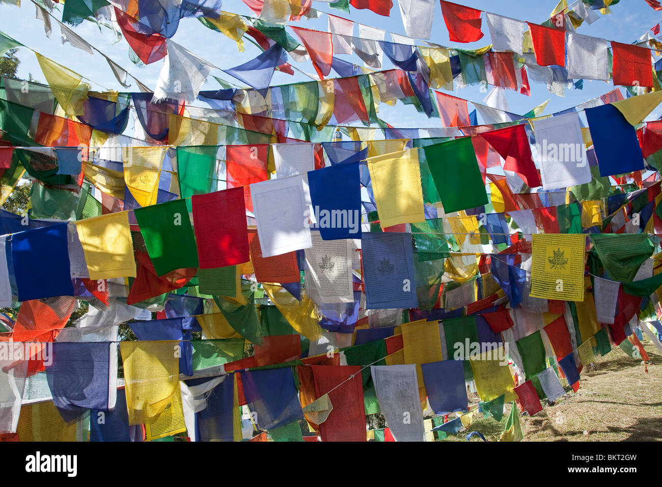 Tibetische Flaggen beten. McLeod Ganj. Dharamsala. Indien Stockfoto