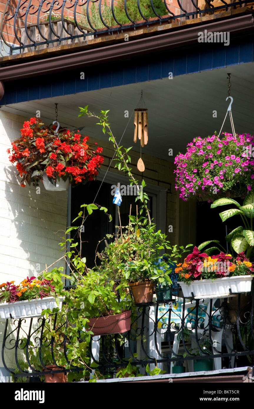 Balkon mit Blumen Plateau Mont-Royal-Montreal Stockfoto