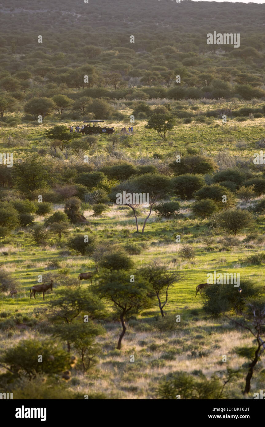 Touristen auf eine Pirschfahrt, Wasserloch, Namibia. Stockfoto