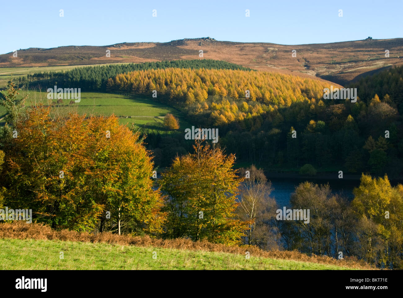 Herbstfarben in den Bäumen durch Ladybower Vorratsbehälter, Peak District, Derbyshire, England, UK Stockfoto