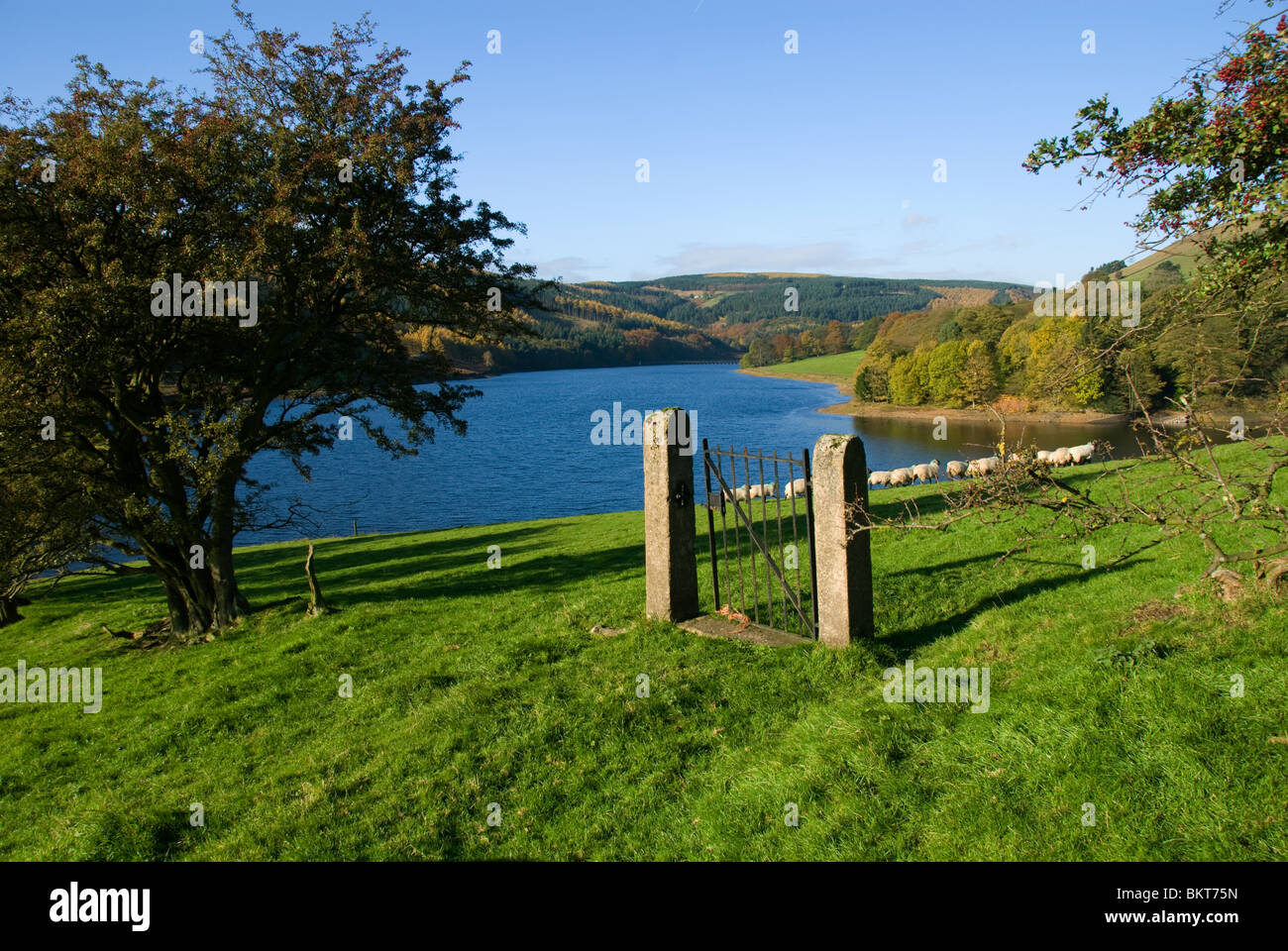 Isolierte Tor auf der Ostseite des Ladybower Vorratsbehälter, Peak District, Derbyshire, England, UK. Stockfoto