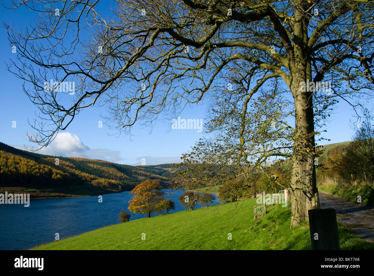 Ladybower Vorratsbehälter aus dem Osten, Peak District, Derbyshire, England, UK Stockfoto