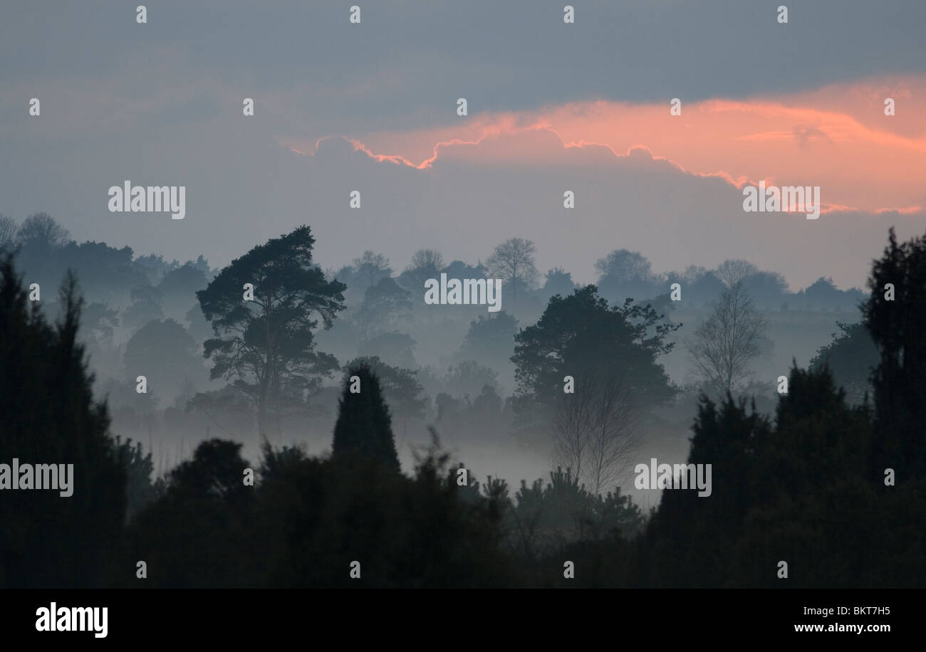 Na Een dag Regen Probeerde de Zon äh in de Avond Nog door Te Komen. Stockfoto