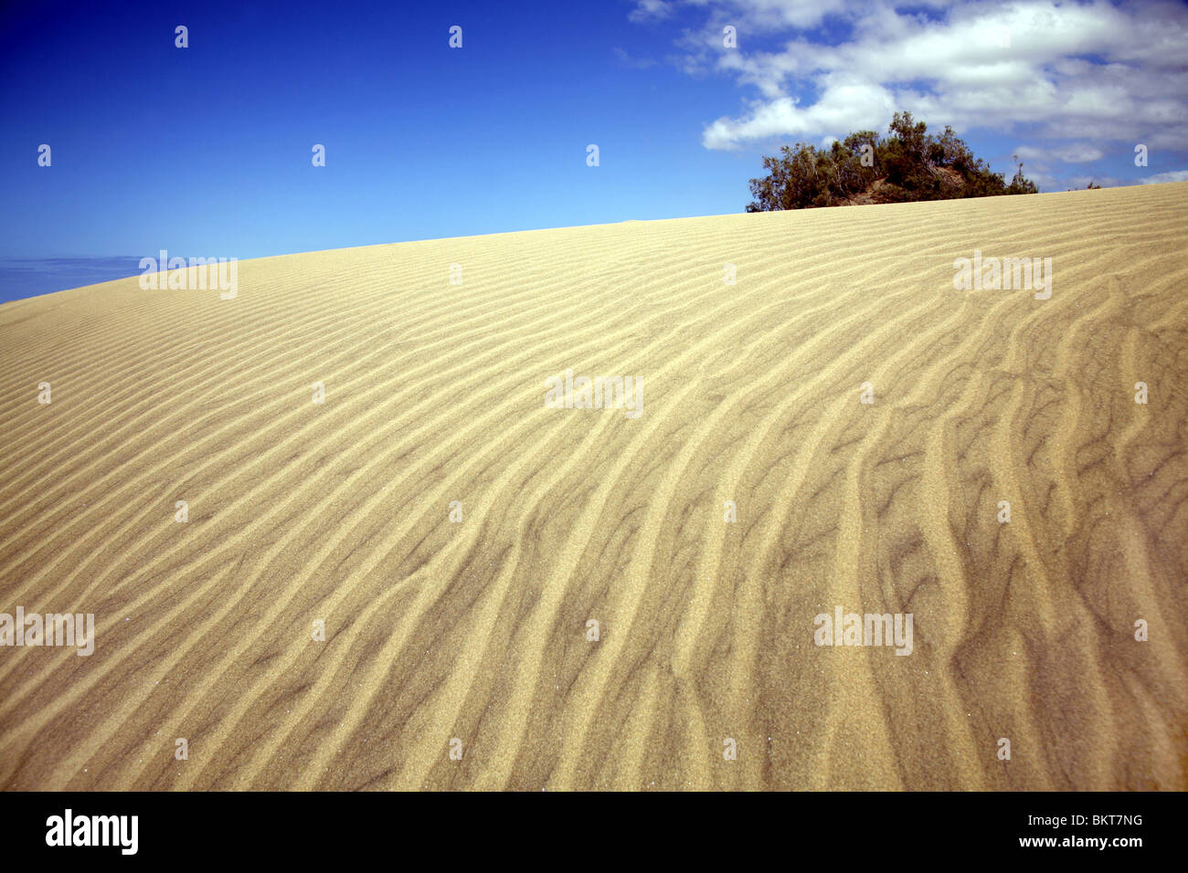 Sanddünen in Playa del Ingles, Gran Canaria Stockfoto