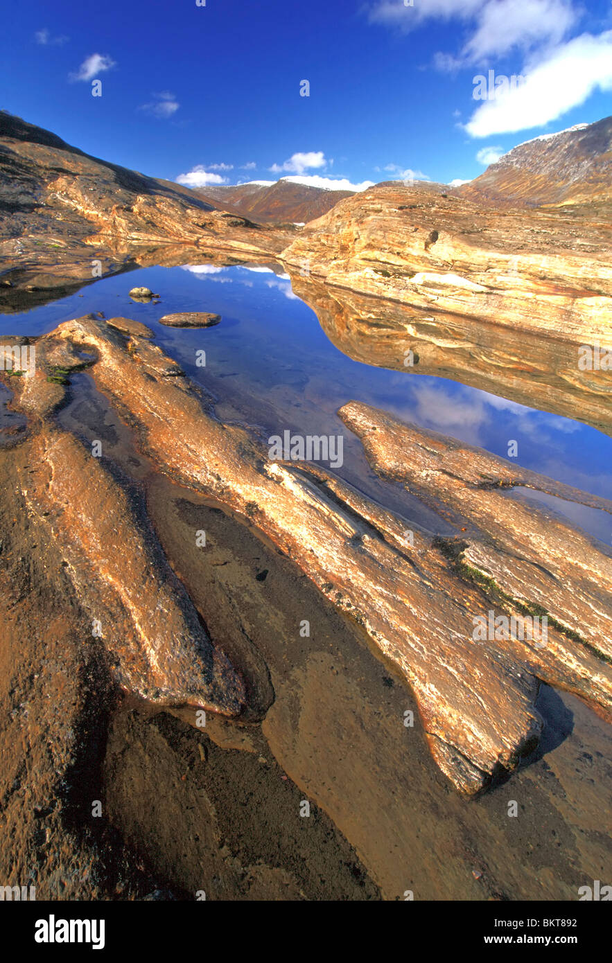 Svartisen Nationaal Park, Norwegen Svartisen Nationalpark, Norwegen Stockfoto