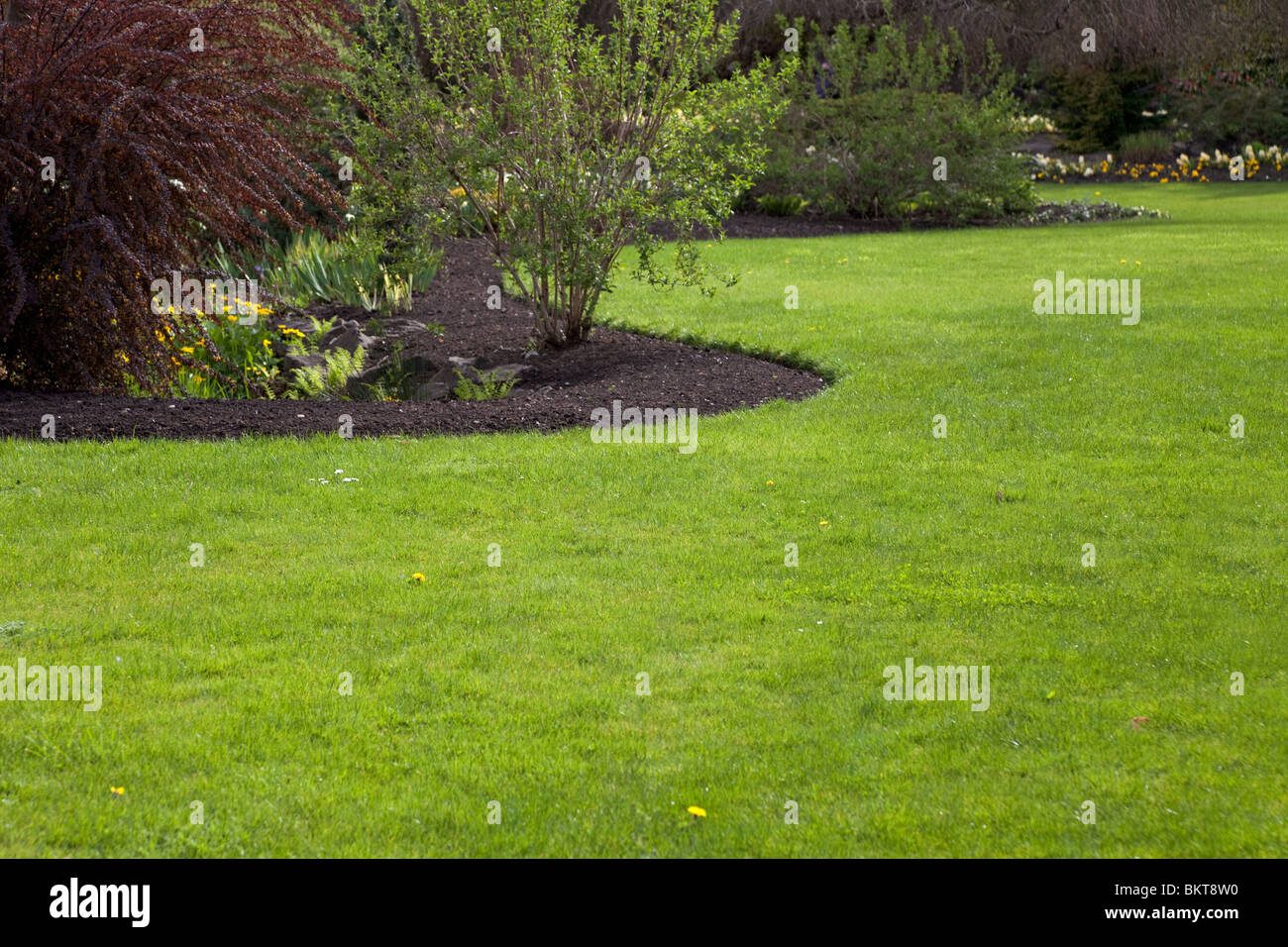 Garten, Baum, Rasen für Hintergrund Stockfoto