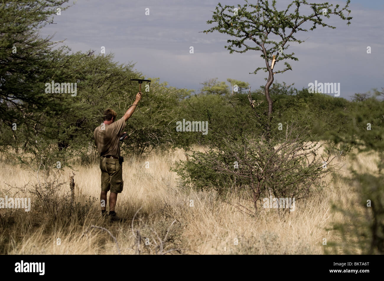 Tracking-Elefanten und Nashörner mit Telemetrie, Wasserloch, Namibia. Stockfoto