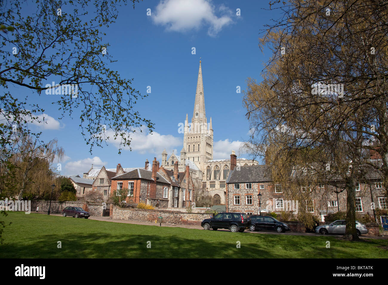 Norwich Cathedral Stockfoto