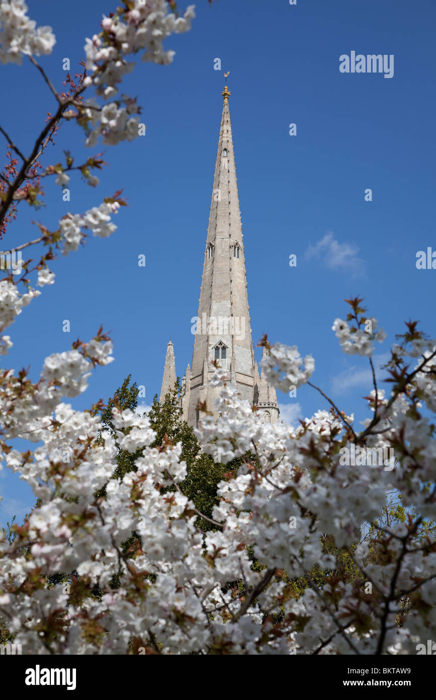 Norwich Cathedral Stockfoto
