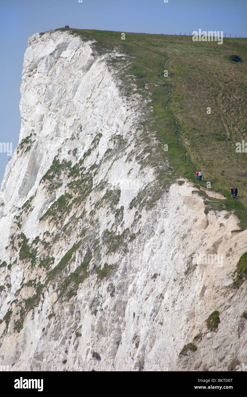 Klippen, Juraküste Welterbe-Aufstellungsort, Dorset, England, Vereinigtes Königreich Stockfoto