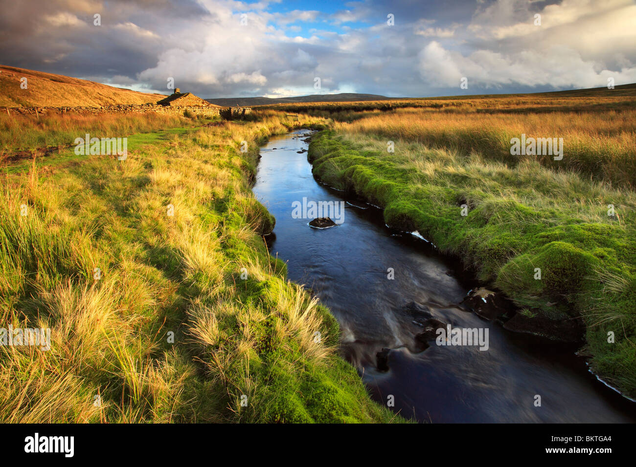 Herbstfarbe umgibt dieses kleinen Bach in Birk Dale in der Yorkshire Dales of England Stockfoto