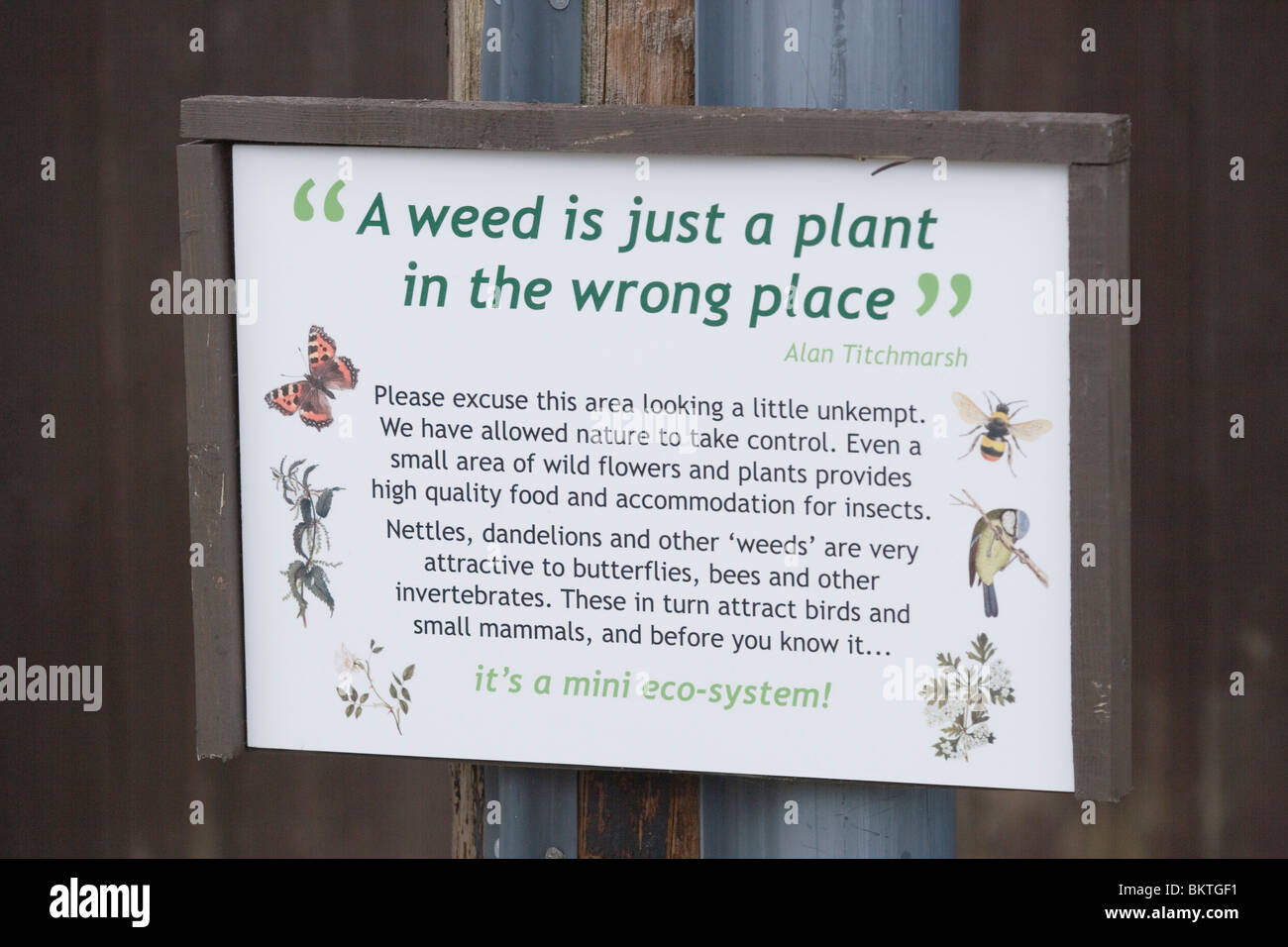 Zeichen oder Interpretation Grafik, "A Unkraut ist nur eine Pflanze an der falschen Stelle". Alan Titchmarsh zugeschrieben. Stockfoto