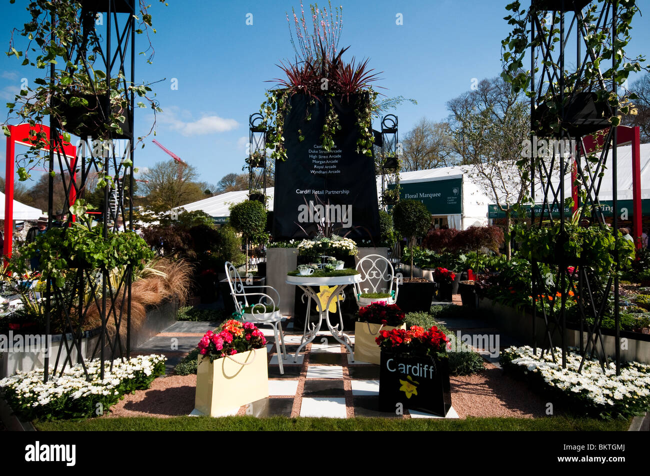 Cardiff Rat Schaugarten auf der RHS Show in Cardiff im Jahr 2010 Stockfoto