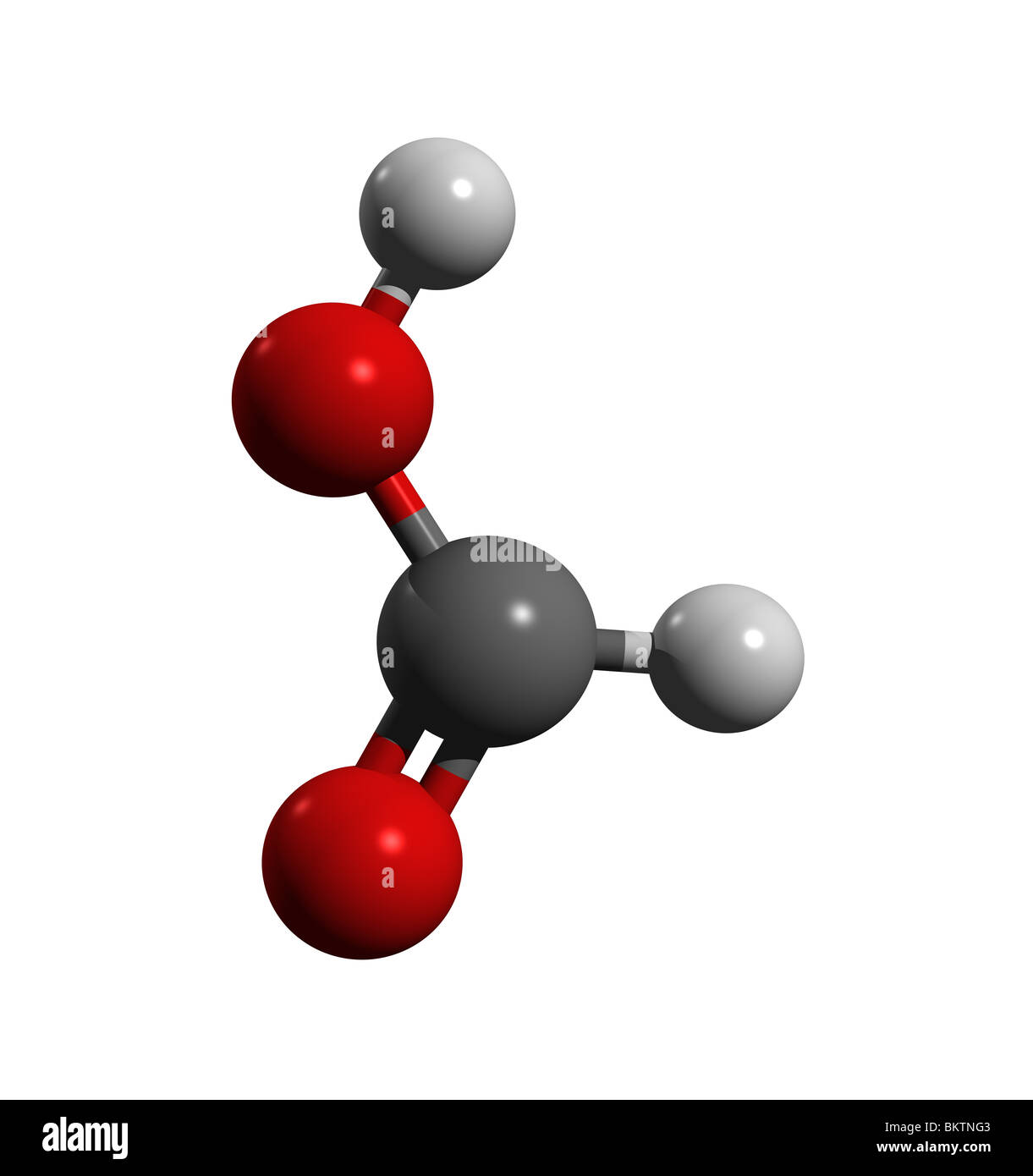 Ameisensäure, Methanoic Säure (Farbcode: Schwarz = Kohlenstoff, weiß = Wasserstoff, rot = Sauerstoff) Stockfoto