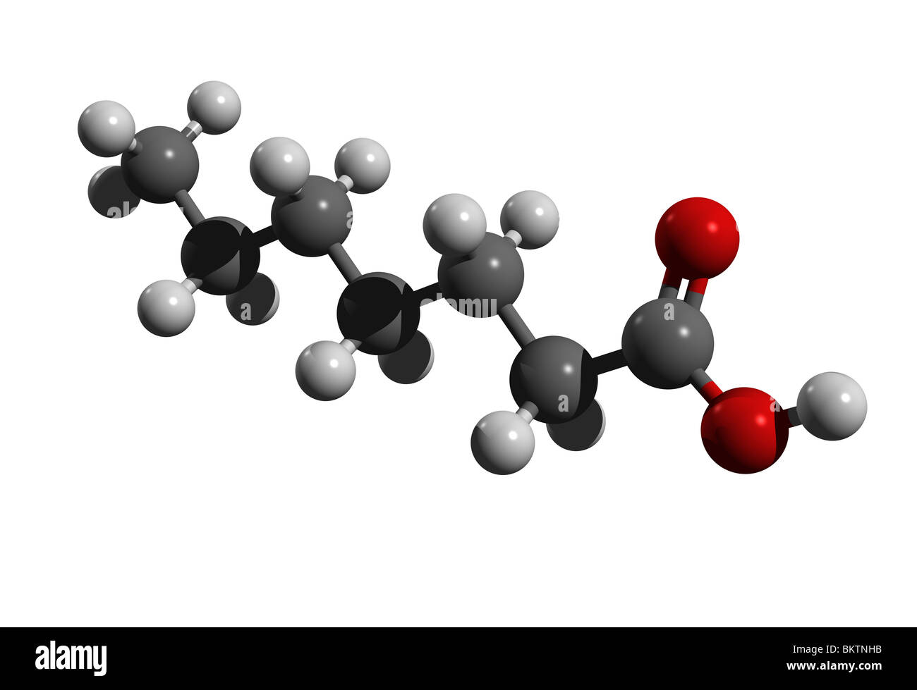 Heptanoic Säure (Farbcode: Schwarz = Kohlenstoff, weiß = Wasserstoff, rot = Sauerstoff) Stockfoto