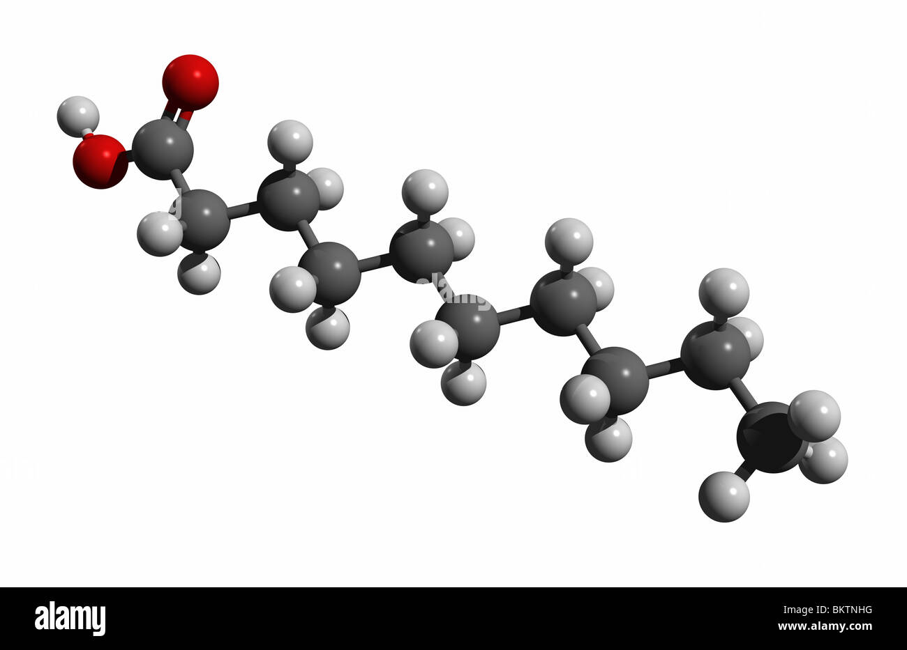 Capric Säure, Decanoic Säure (Farbcode: Schwarz = Kohlenstoff, weiß = Wasserstoff, rot = Sauerstoff) Stockfoto