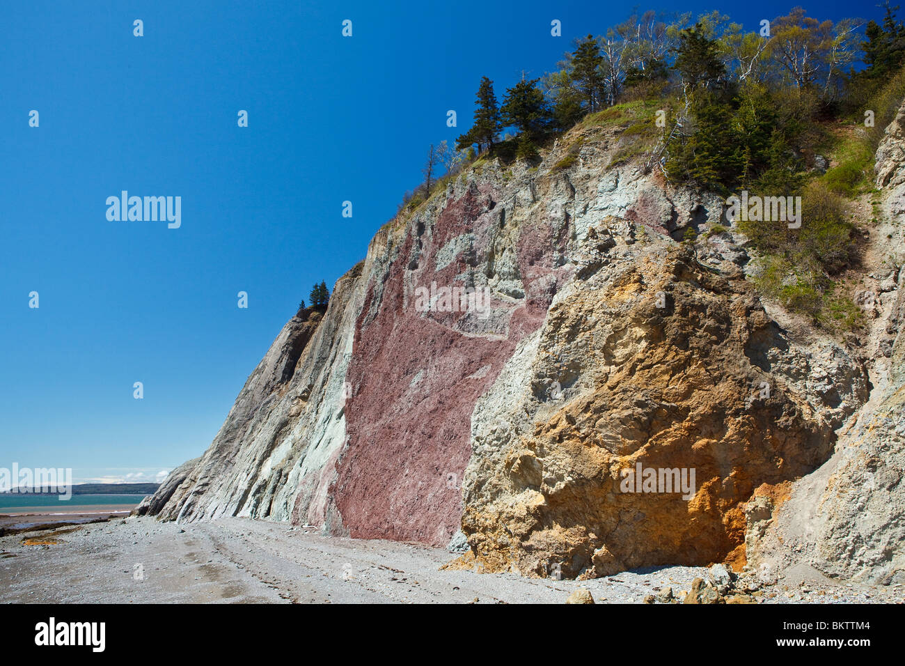 Felsenküste am Clark Head - Bay Of Fundy in der Nähe von Amherst, NS, Canada Stockfoto