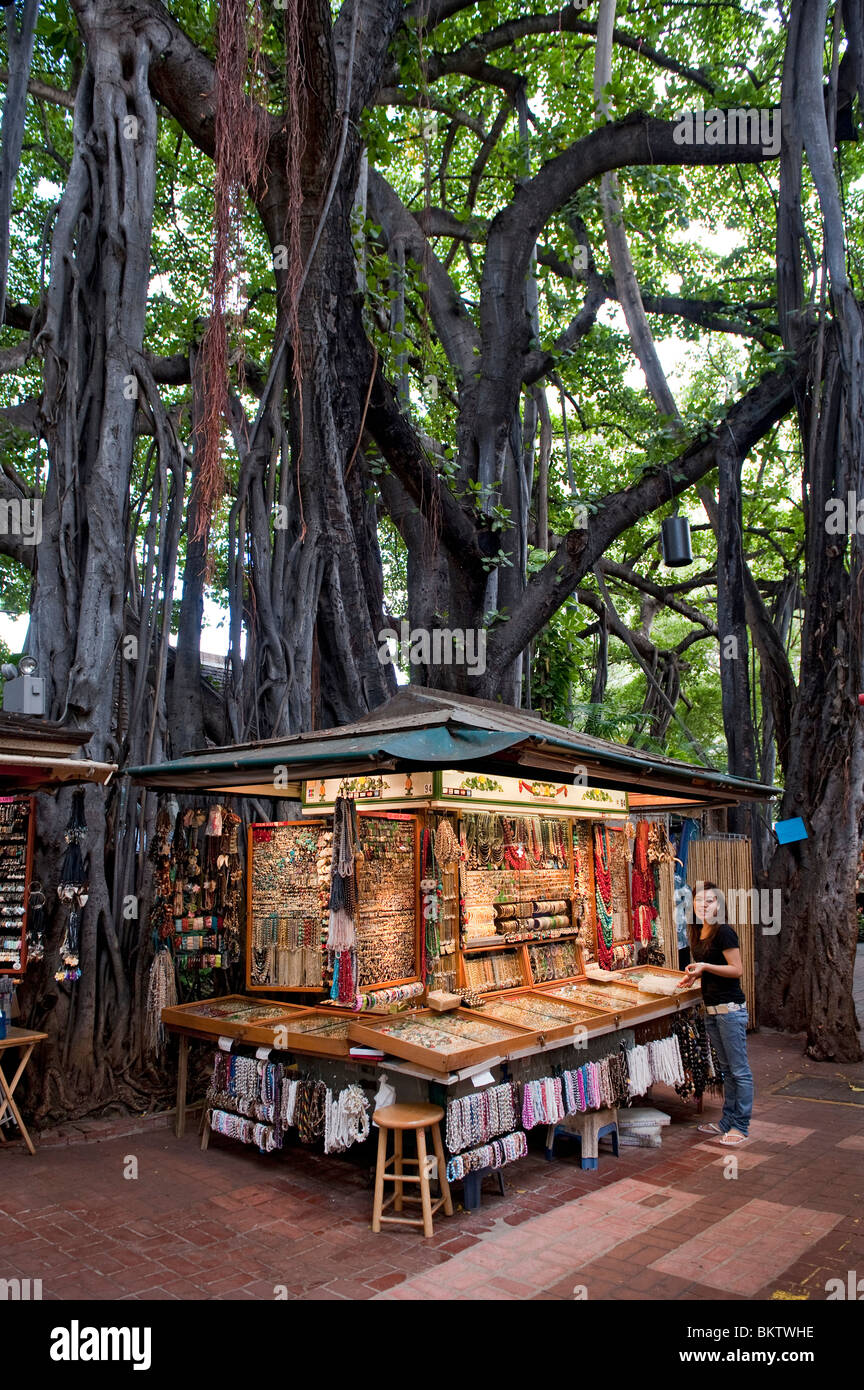 Schmuck-Stall und riesigen Banyan-Baum auf dem internationalen Markt in Waikiki, Honolulu, Hawaii Stockfoto