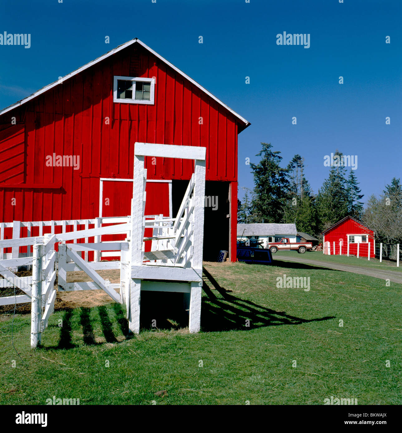 Rote Scheune an einem klaren sonnigen Tag auf der Charles W. Wilson Ranch nahe Sequim, Washington; Olympische Halbinsel, Vereinigte Staaten Stockfoto
