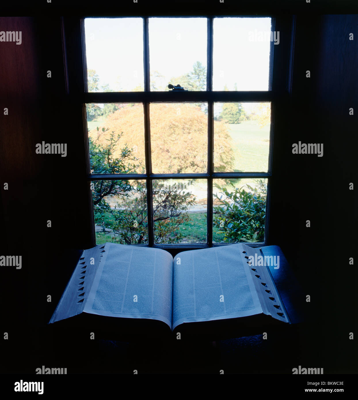 Wörterbuch ein Bibliothek-Fenster, Pearl S. Buck House, Pulitzer & Nobel-Preisträger, Umbauarbeiten, Pennsylvania, USA Stockfoto