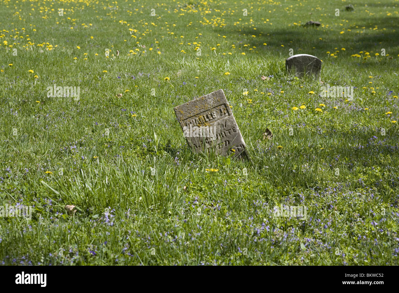 Alten Grabstein in einem Feld Stockfoto