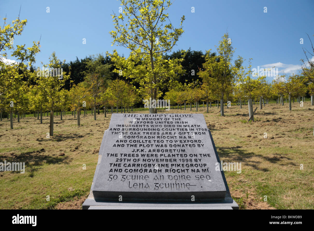 Ein Gedenkstein, umgeben von Eichen, Mark The Croppy Grove, John F. Kennedy Arboretum, Co. Wexford, Irland. Stockfoto