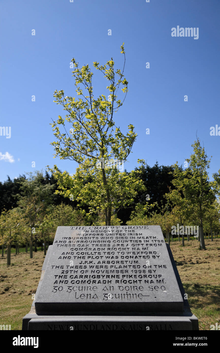 Ein Gedenkstein, umgeben von Eichen, Mark The Croppy Grove, John F. Kennedy Arboretum, Co. Wexford, Irland. Stockfoto