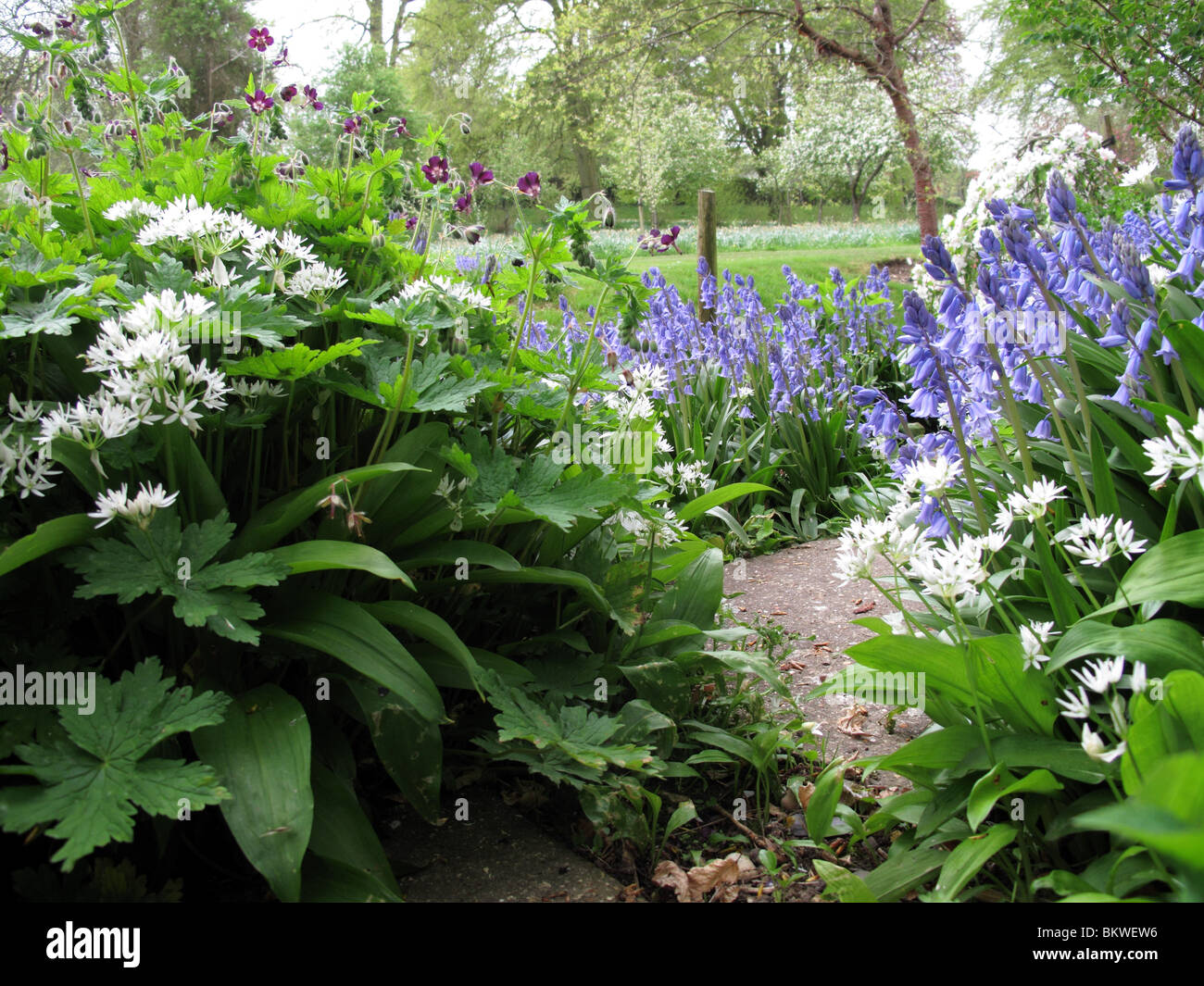 Blumenbeet Stockfoto