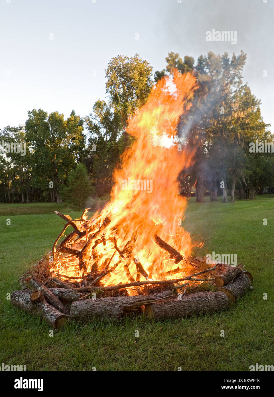 Lagerfeuer im freien Kaminholz ländlichen große Flammen brennen brennen außerhalb Stockfoto