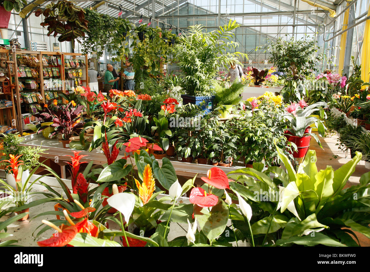 Garten-Center. Luchon. Frankreich. Stockfoto