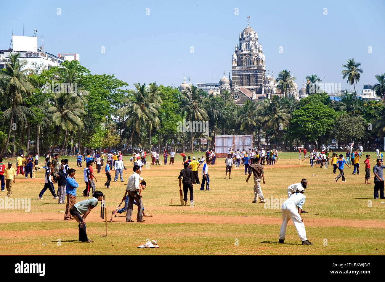Menschen spielen Cricket, Oval Maidan, Bombay, Mumbai Indien Stockfoto