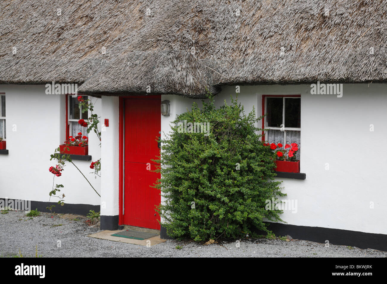 traditionellen Reetdachhaus mit roten Tür in Tully Kreuz in Connemara, Irland Stockfoto