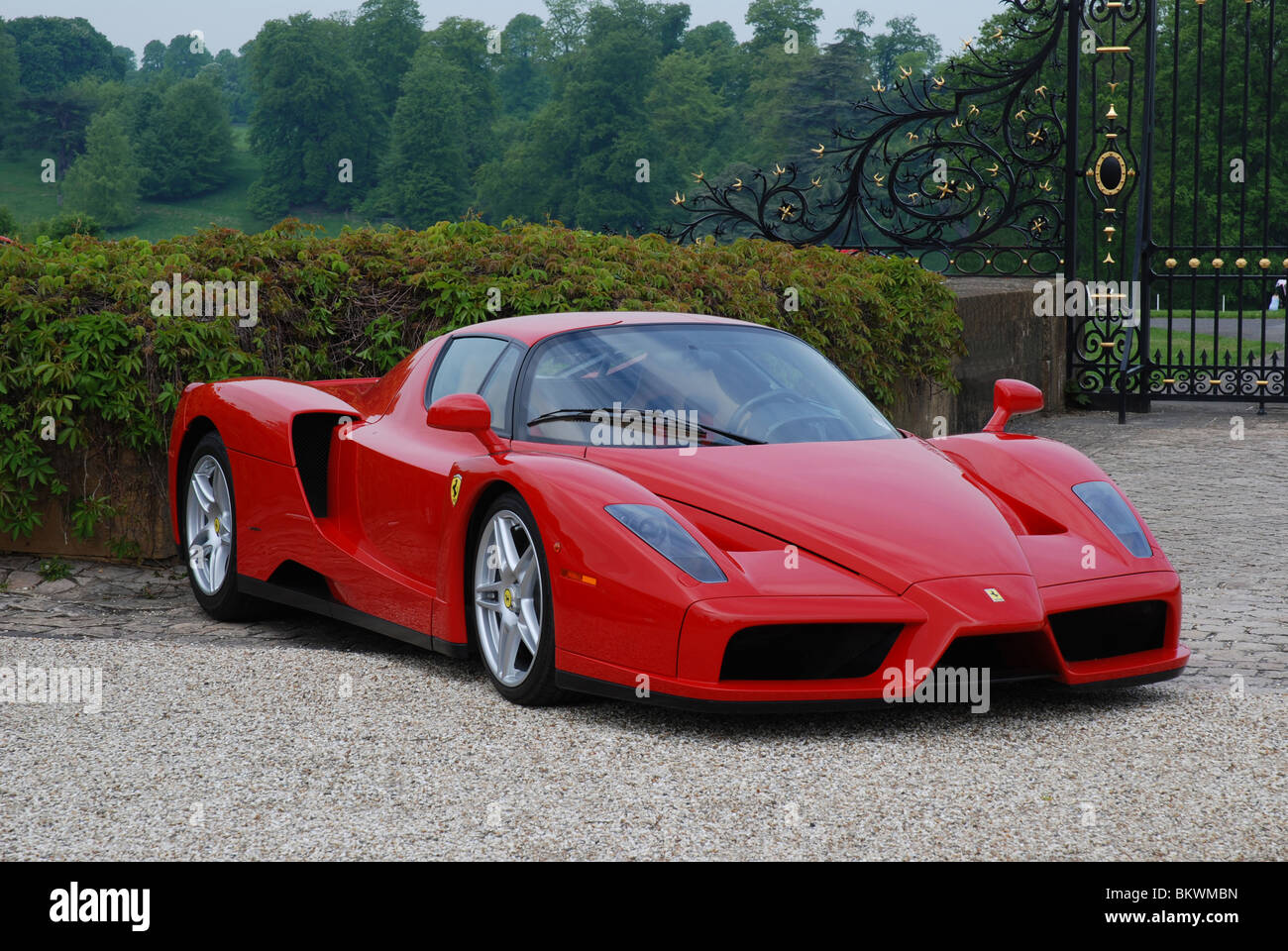 Ferrari Enzo genommen in den Gärten der Blenheim Palace Stockfoto