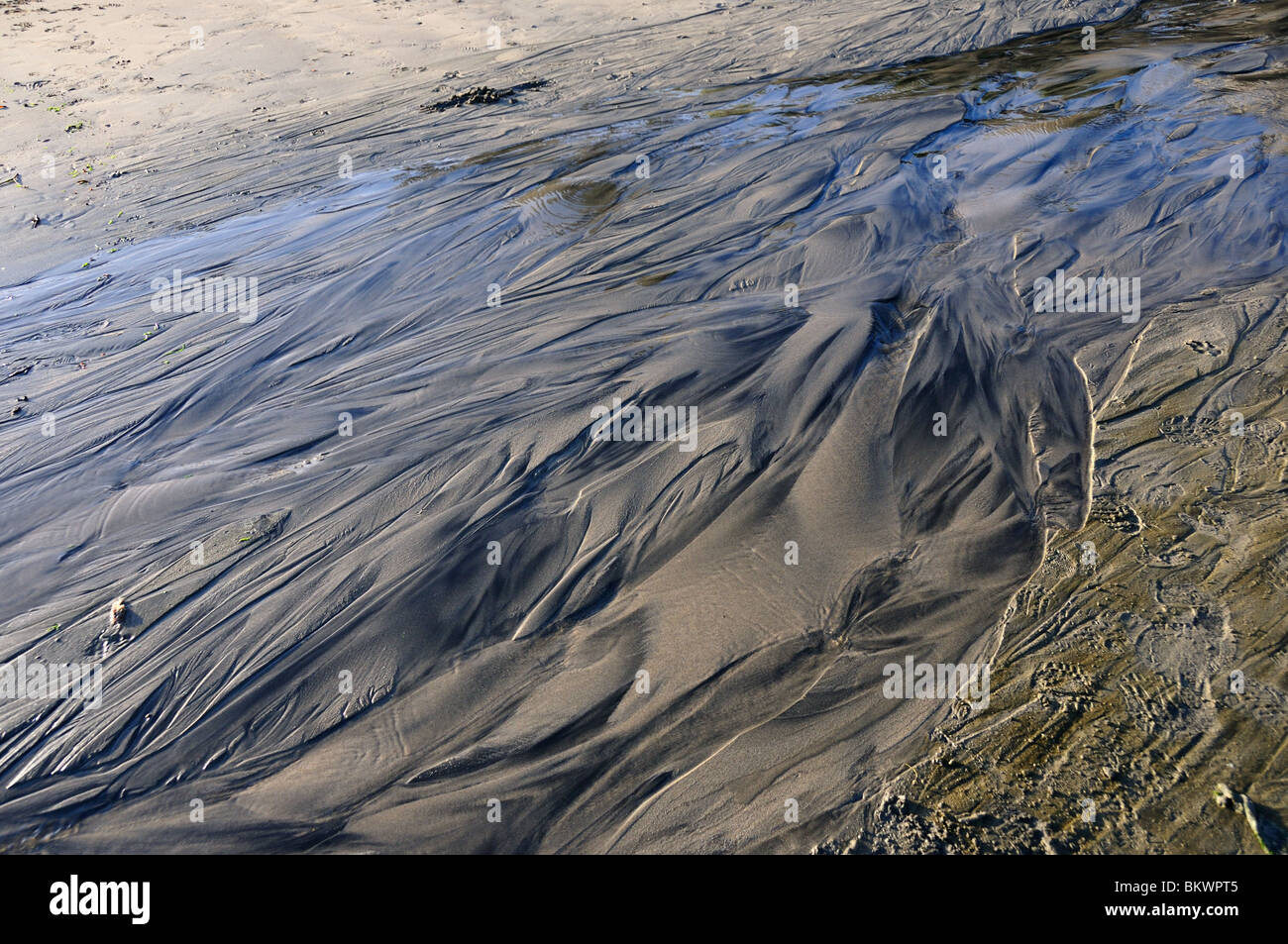 Sandy Stream am Strand entlang. Kalifornien, USA. Stockfoto