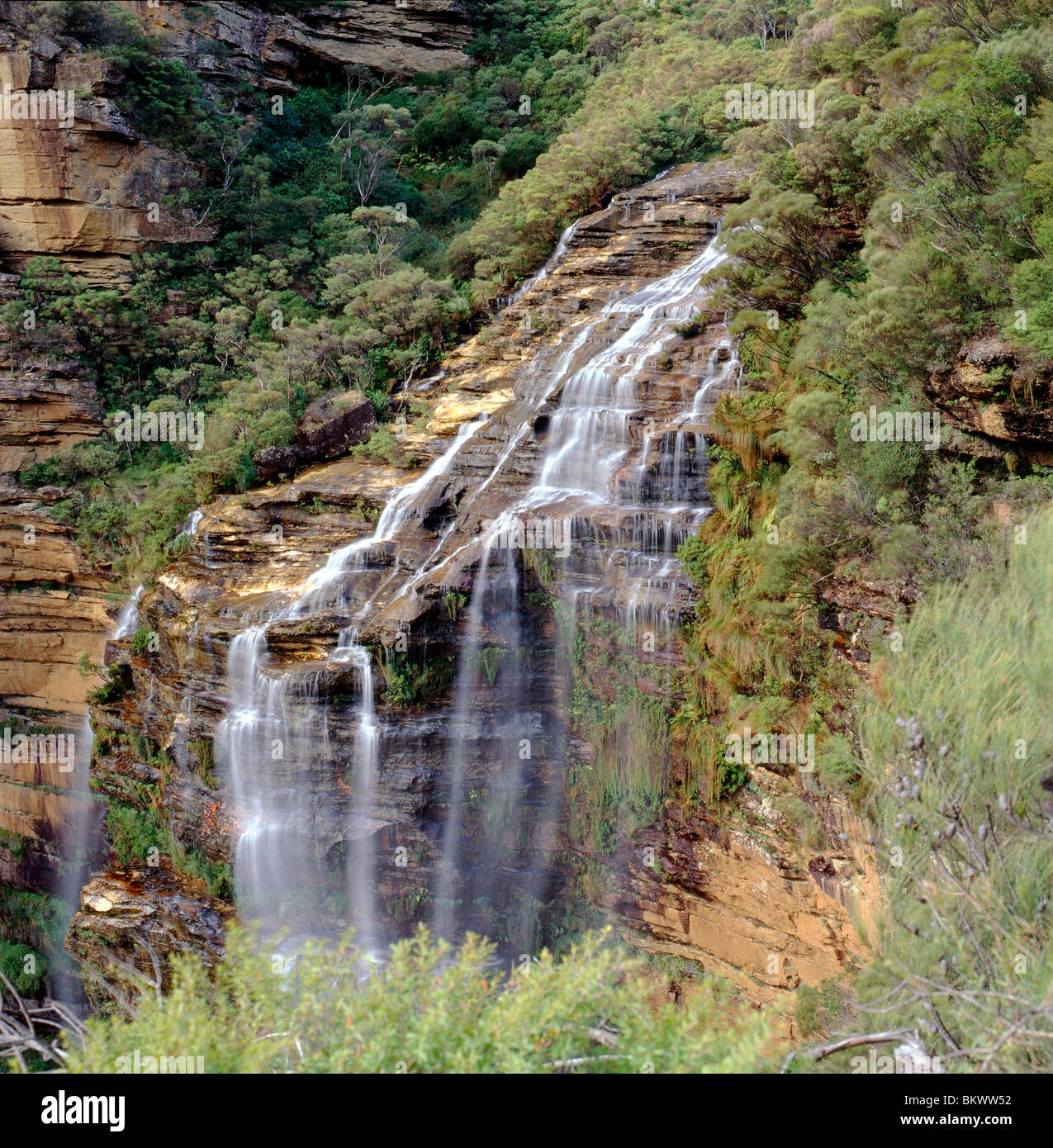 Wentworth Falls betrachtet von unten Rocket Point, Blue Mountains National Park, New-South.Wales, Australien Stockfoto