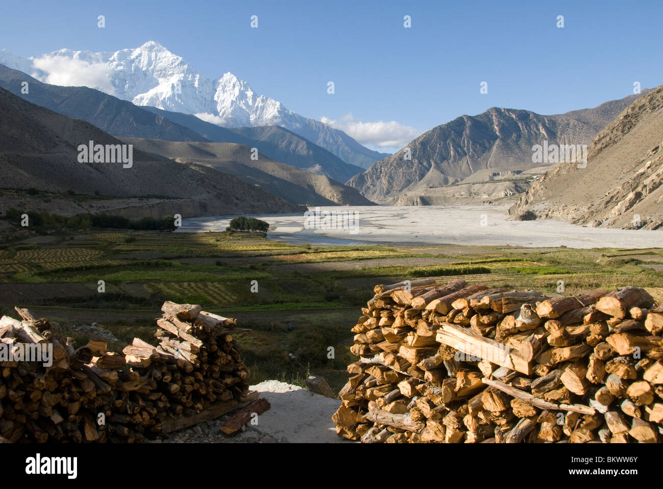 Die Felder neben Fluss, Kagbeni, Annapurna Circuit, Mustang District, Nepal. Kali Gandaki Fluss und Nilgiri-Gebirge in Ferne Stockfoto