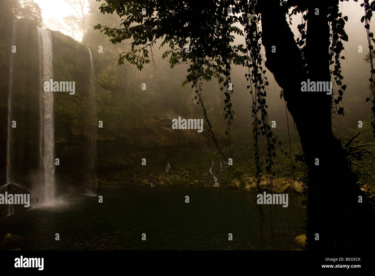 Der Wasserfall Misol Ha Salto de Agua, Chiapas, Mexiko, 21. Februar 2010. Stockfoto