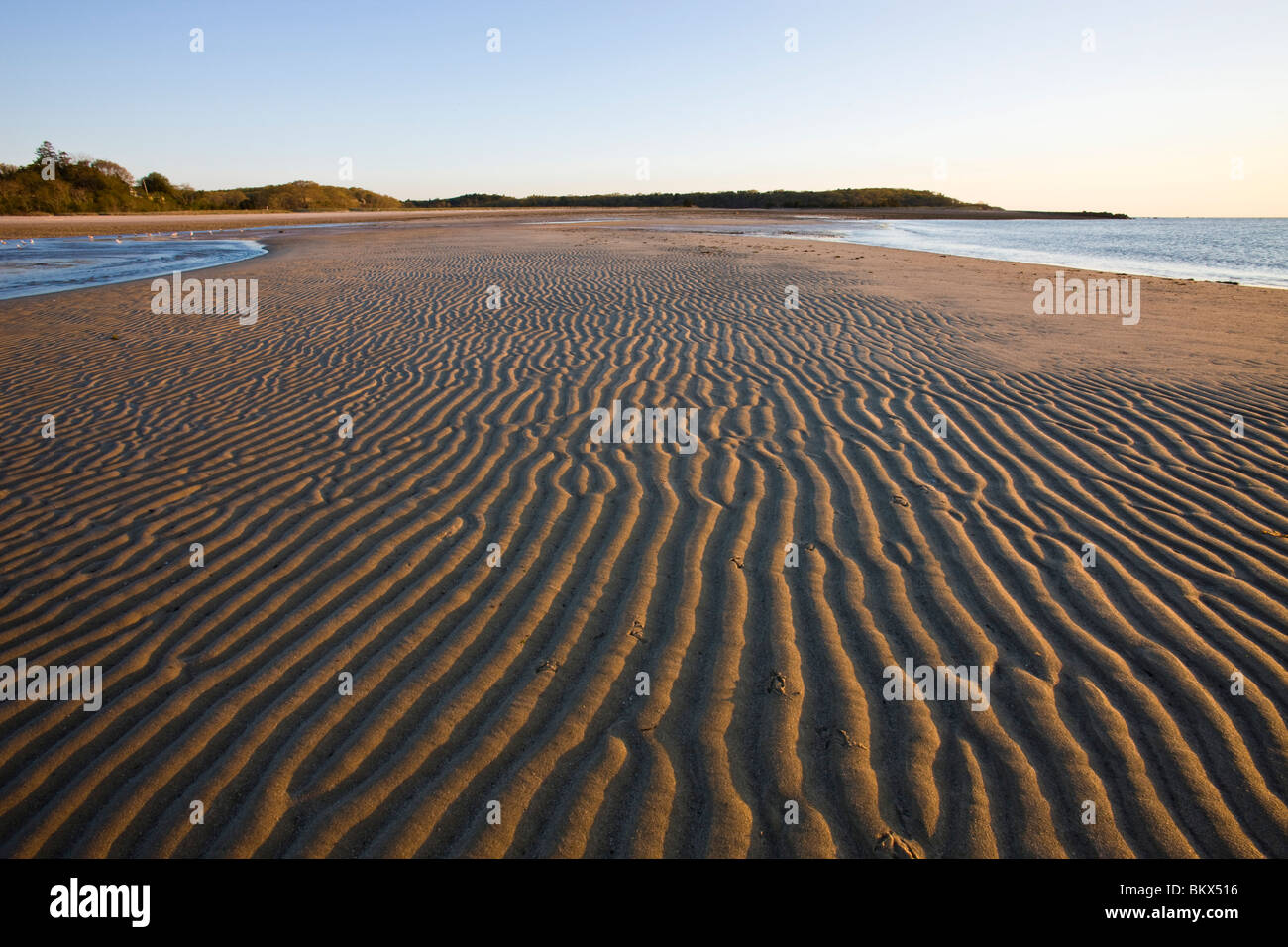 Muster in den Sand am Strand von der Verlagerung viel Preserve in Plymouth, Massachusetts.  Cape Cod Bay Stockfoto