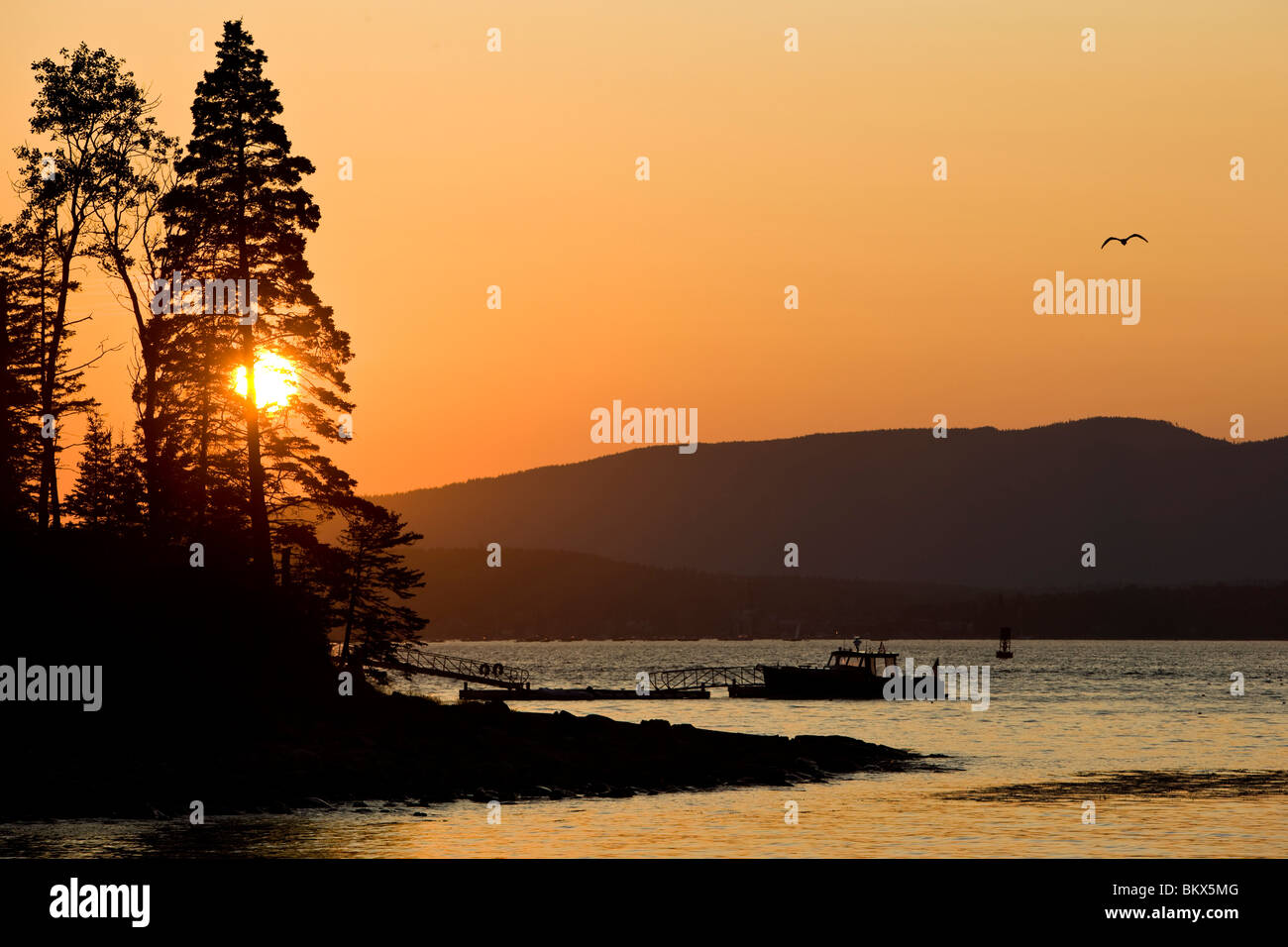 Sonnenuntergang vom Hafen auf Great Cranberry Island in Maine. In der Nähe Acadia National Park. Stockfoto