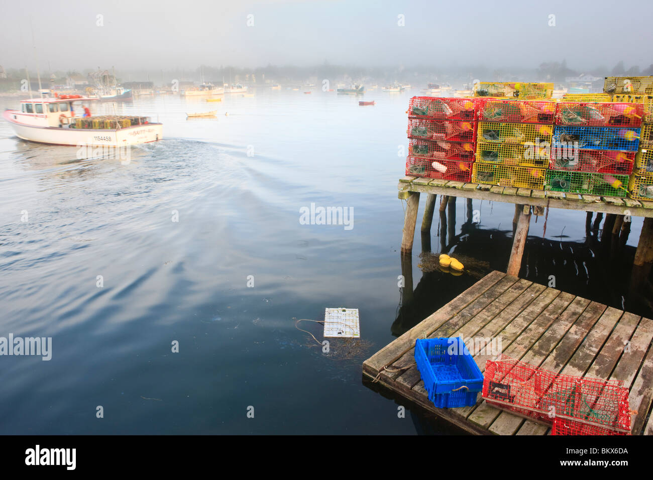 Hummerfallen und Boote im Morgennebel.  Corea, Maine. Stockfoto