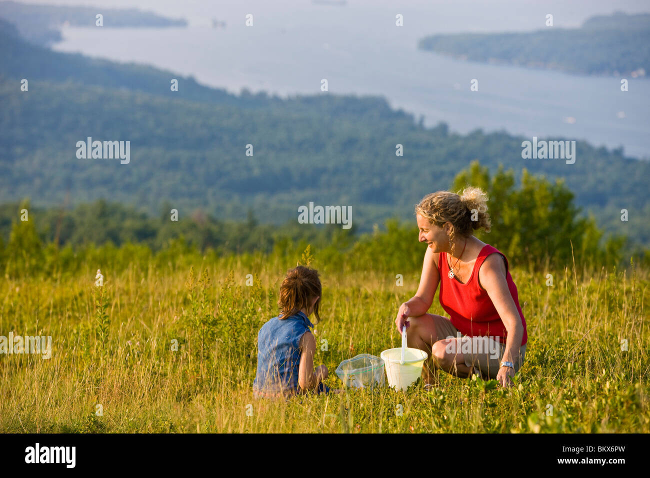 Eine Frau und ihre junge Tochter wählen Sie Blaubeeren, auf einem Hügel in Alton, New Hampshire. Stockfoto