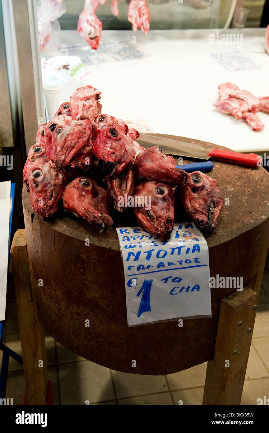 Schaf-Köpfe für den Verkauf im Zentralmarkt Athen Stockfoto