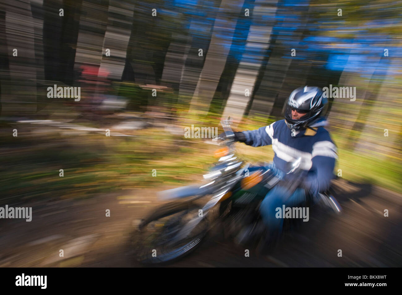 Ein Mann reitet auf seinem Motorrad durch den Wald bei Jericho Mountain State Park in Berlin, New Hampshire.  White Mountains. Stockfoto