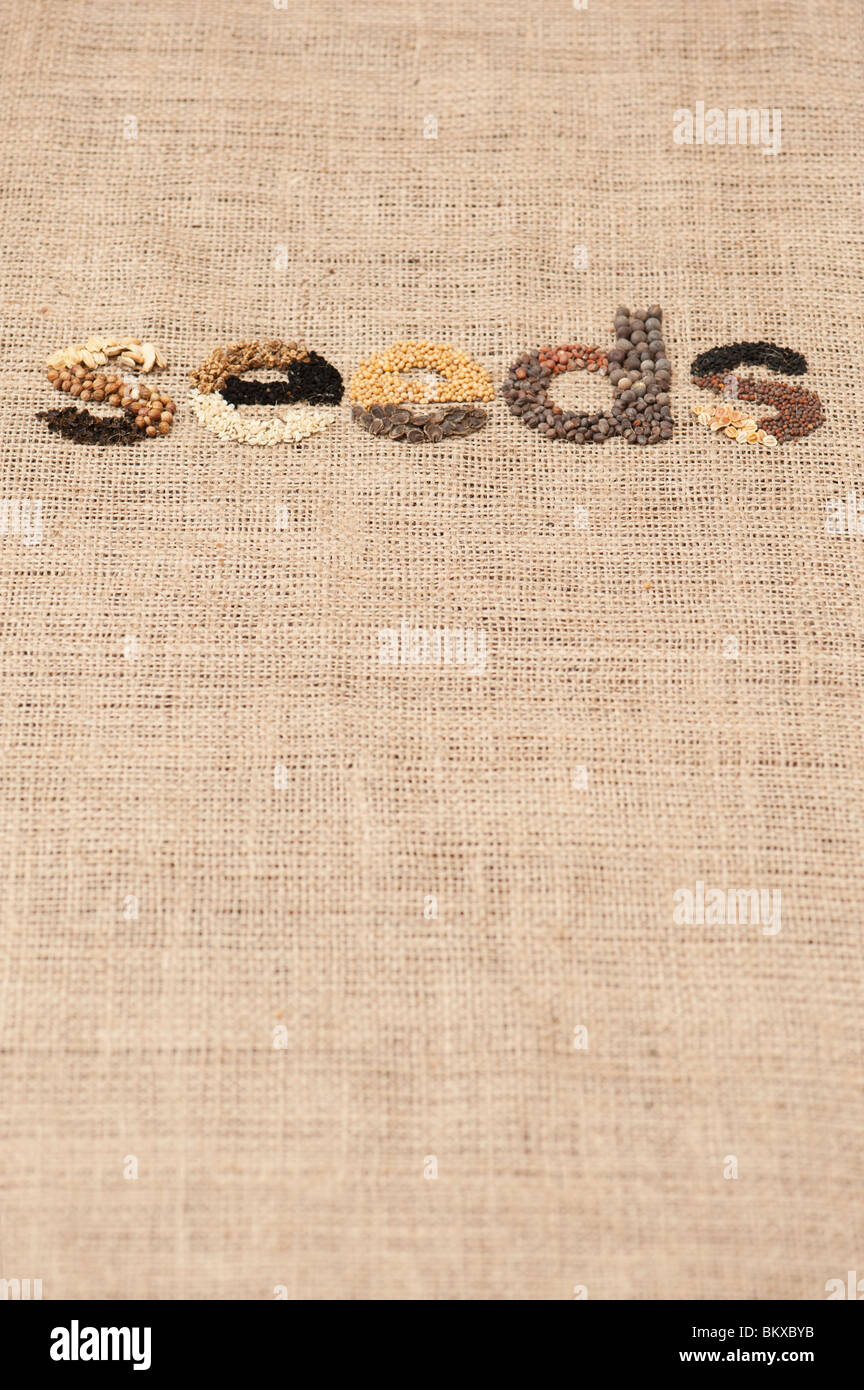 Das Wort 'Samen' ausgeschrieben mit Gemüse- und Blumensamen auf hessisch Stockfoto