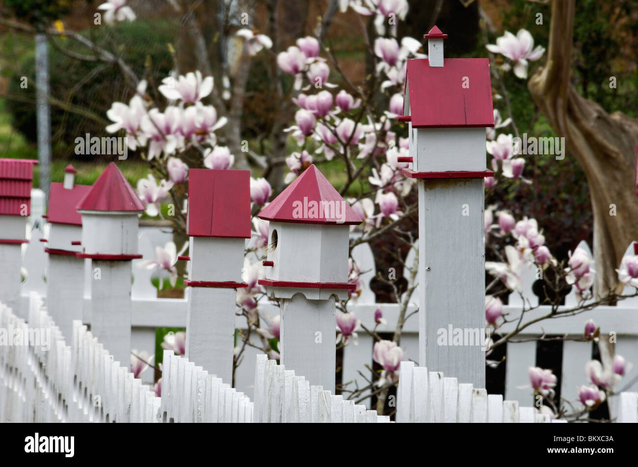 Vogelhäuser auf weißen Pickett Zaun in Concord, North Carolina Stockfoto