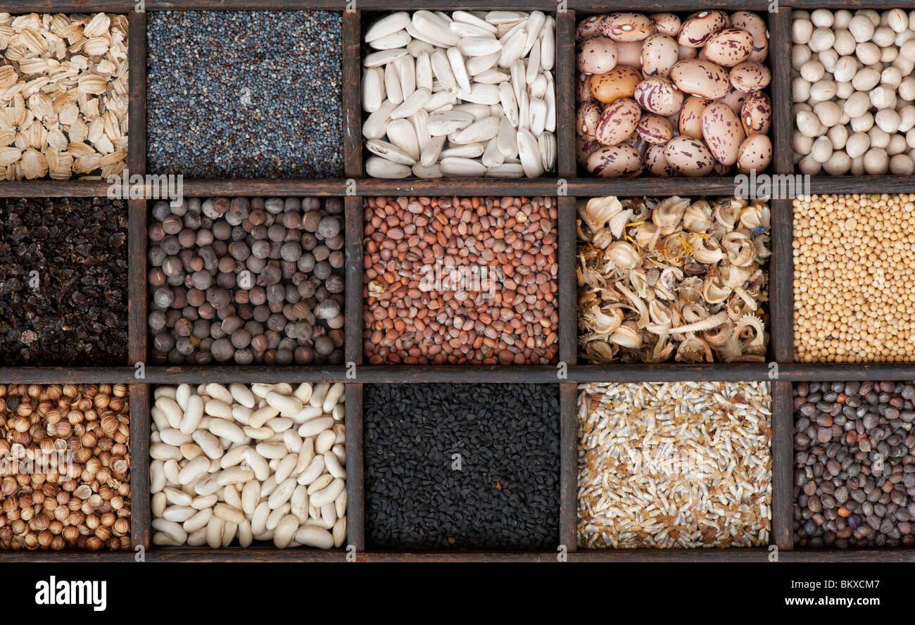 Auswahl von Gemüse- und Blumensamen in einem hölzernen Fach flach Fotografie von oben legen Stockfoto